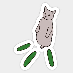 Funny Cat And Cucumber Meme Sticker